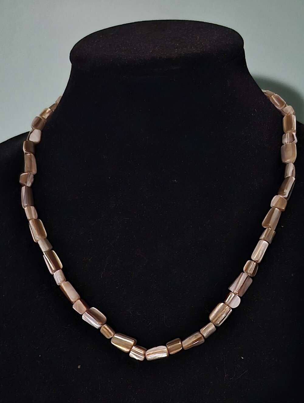 Premier Designs Necklace Shells